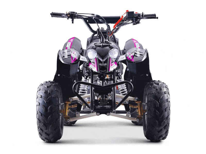 Quad 110cc Raptor Rose